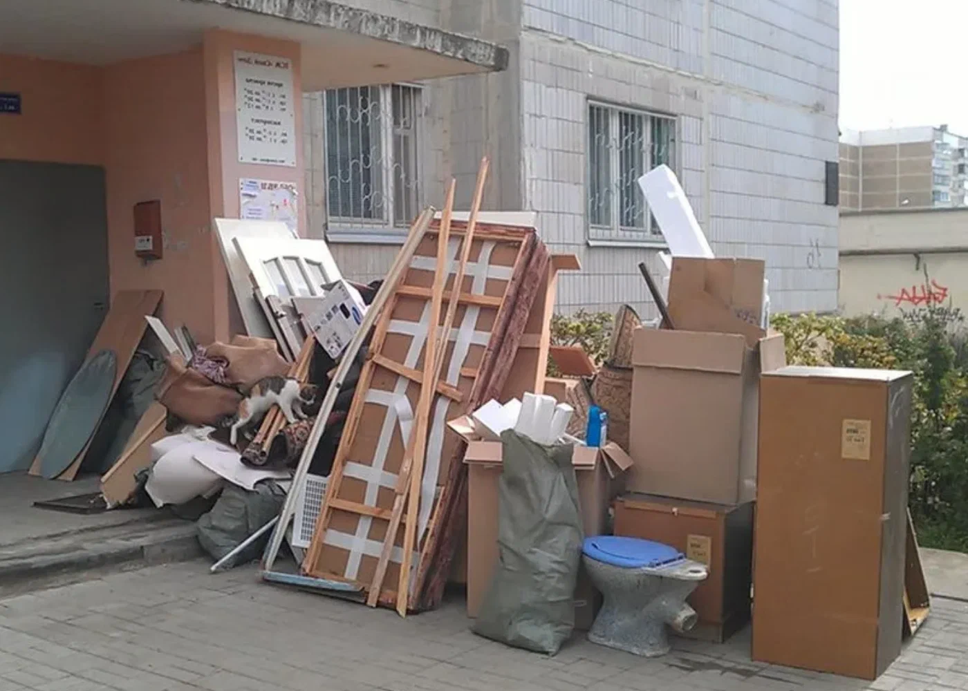 Профессиональный вывоз мусора из квартиры в Городце в октябре