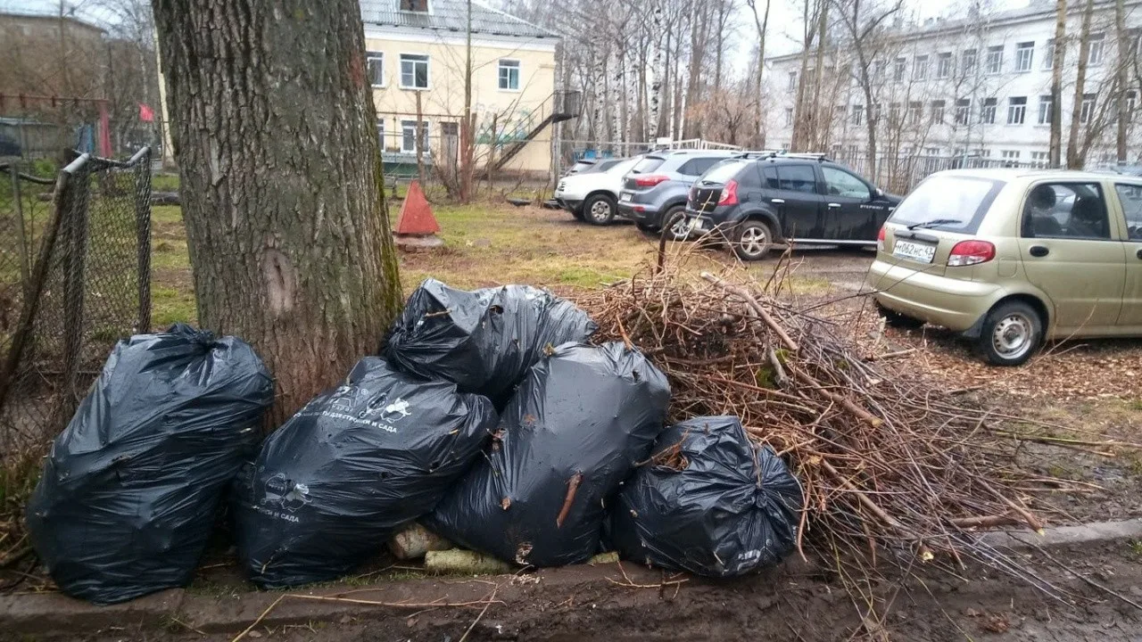 Вывоз мусора после субботника в Городце от ПроМусор – уборка и утилизация отходов от 2379 руб