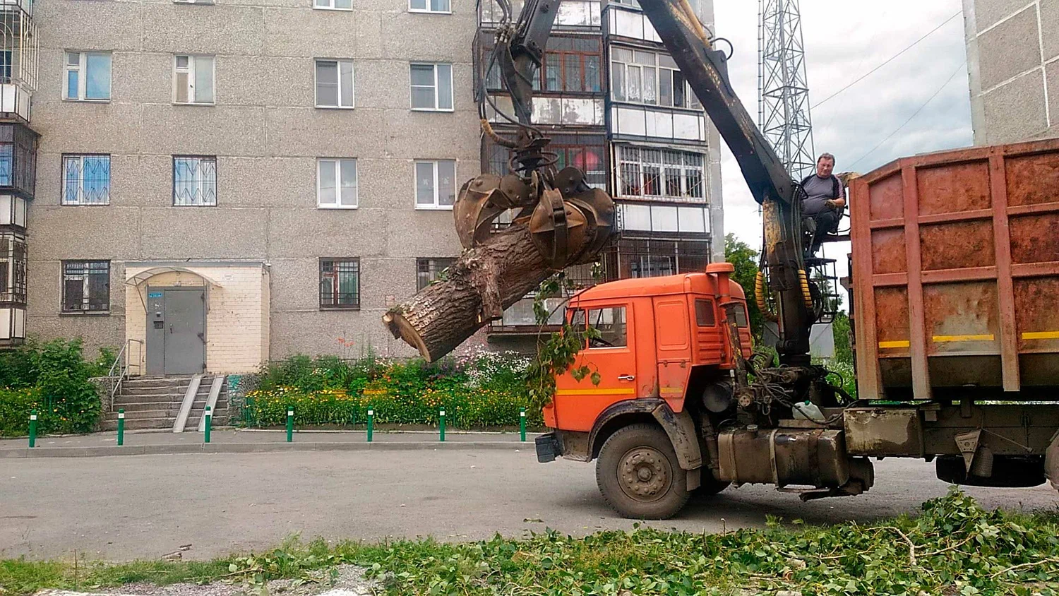 Вывоз спиленных веток и деревьев в Городце от ПроМусор: порубочные остатки, утилизация, цена от 2936 руб