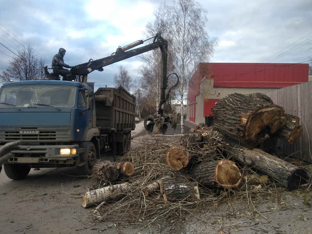 Вывоз древесных отходов и утилизация в Городце от ПроМусор — цена от 709 руб., вывоз опилок, досок, бревен