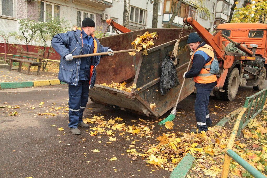 Вывоз опавшей листвы и растительного мусора в Городце от ПроМусор – цена от 4555 руб., быстрая уборка и утилизация