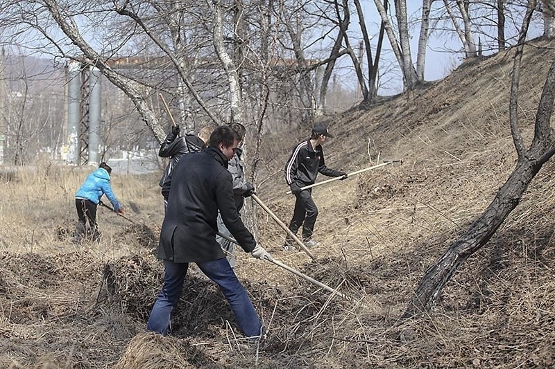 Уборка участков от мусора в Городце — услуги ПроМусор, вывоз и ручная уборка от 152 руб